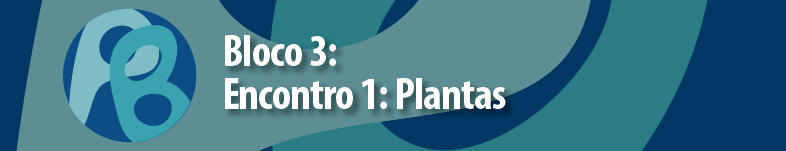 plantas